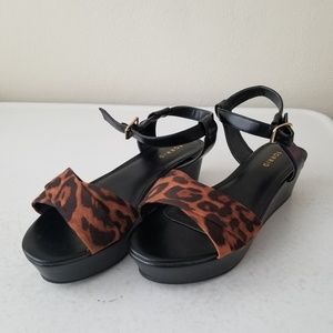 Torrid leopard platform